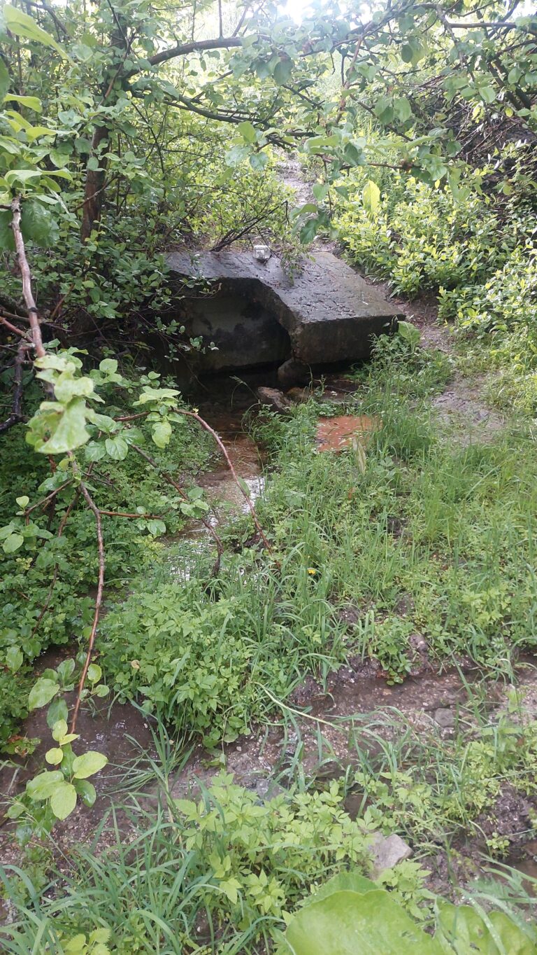 Барыня