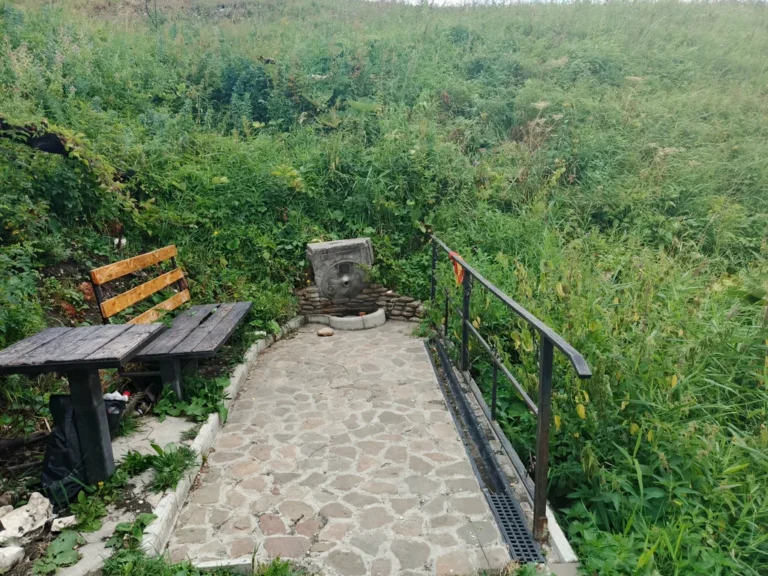 Бодрость