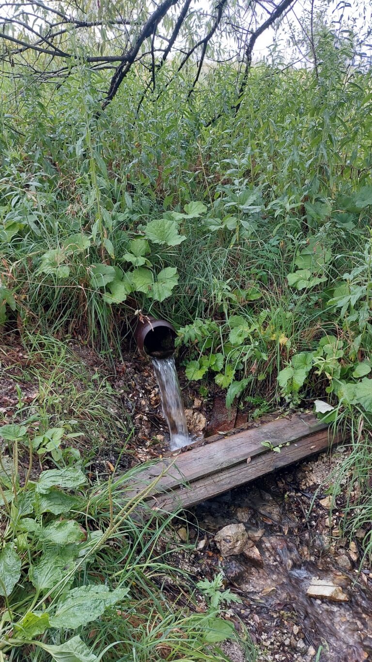 Бугайяр